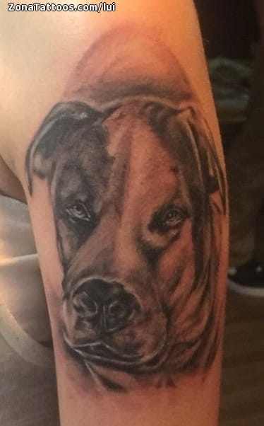 Tattoo photo Dogs, Animals