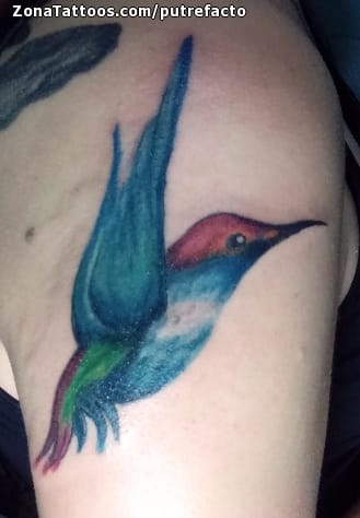 Tattoo photo Humming bird, Birds, Animals