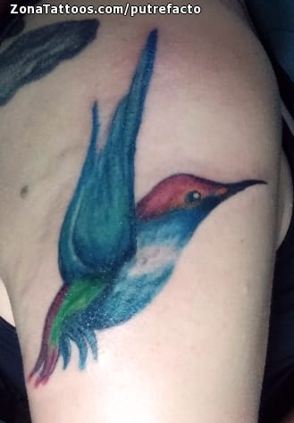 Foto de tatuaje Colibríes, Aves, Animales