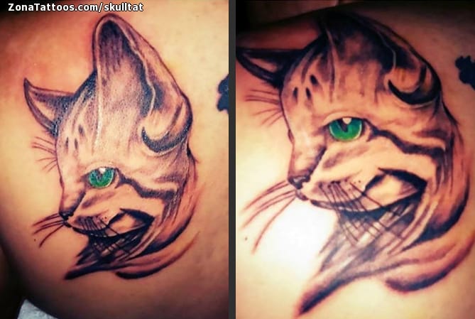 Foto de tatuaje Gatos, Animales