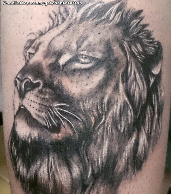 Tattoo photo Lions, Animals