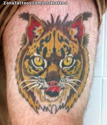 Tattoo photo Lynx, Animals, Thigh