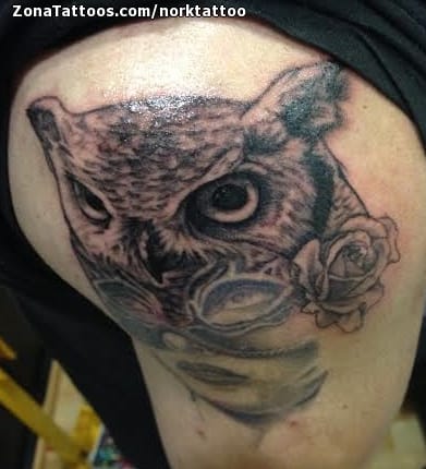 Tattoo photo Owls, Birds, Animals