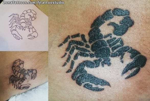 Tattoo photo Scorpions, Insects