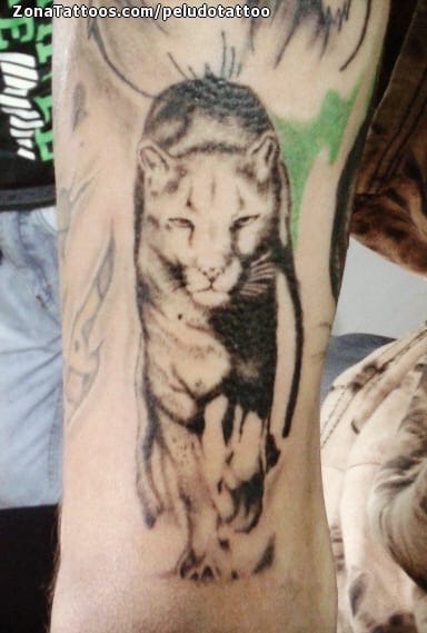 Foto de tatuaje Animales