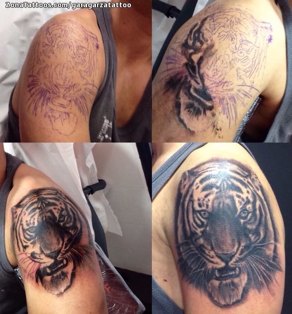 Foto de tatuaje Tigres, Animales, Hombro