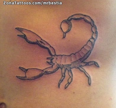 Tattoo of Scorpions, Pointillism, Insects