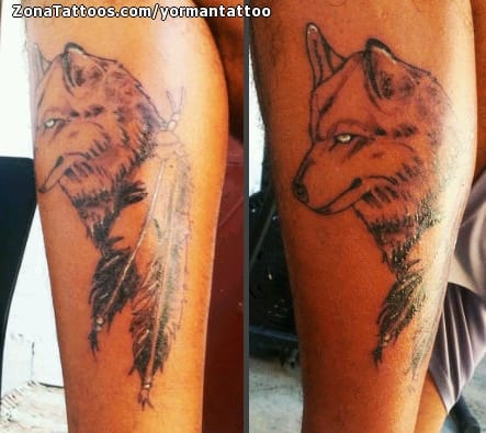 Foto de tatuaje Lobos, Plumas, Animales