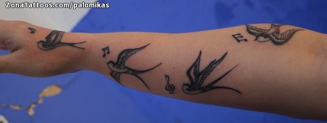 Foto de tatuaje Golondrinas, Aves, Brazo