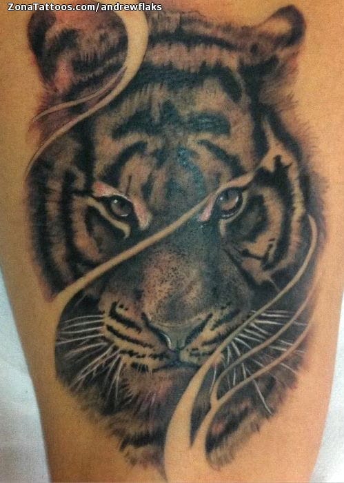 Tattoo photo Tigers, Animals