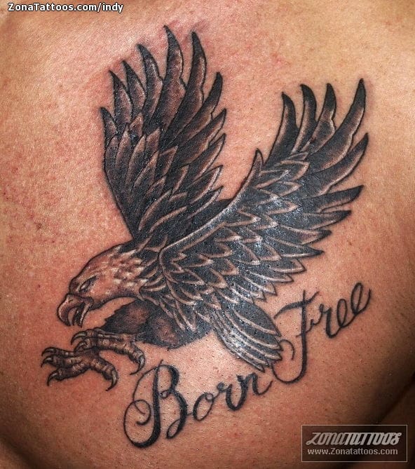 Tatuaje de Águilas, Aves, Animales