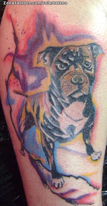 Tattoo photo Dogs, Animals, Pitbulls