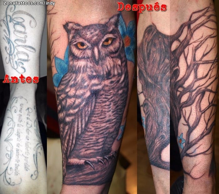 Foto de tatuaje Búhos, Aves, Animales