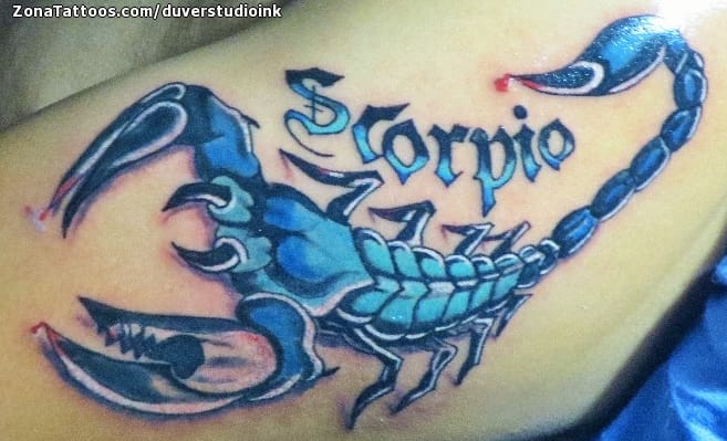 Tattoo photo Scorpions, Insects