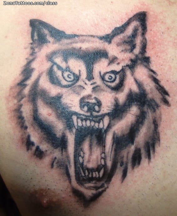 Foto de tatuaje Pecho, Lobos, Animales