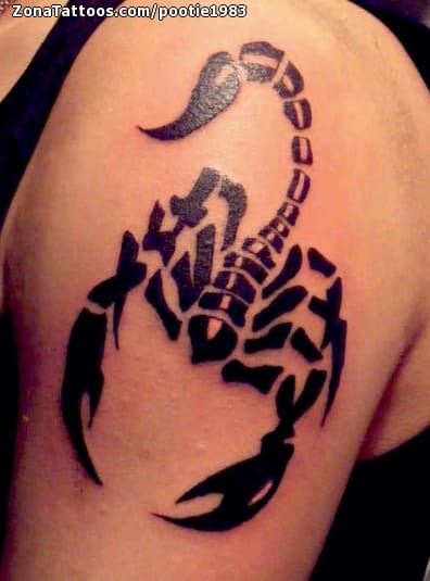 Tattoo photo Scorpions, Insects, Shoulder