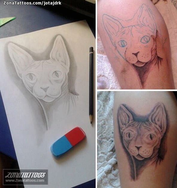 Foto de tatuaje Gatos, Sphynx, Animales