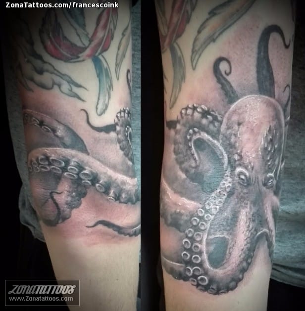 Tattoo photo Octopuses, Animals