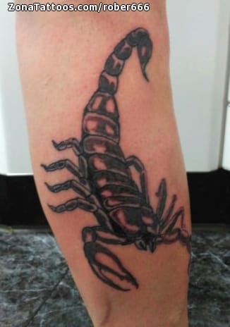 Tattoo photo Scorpions, Insects