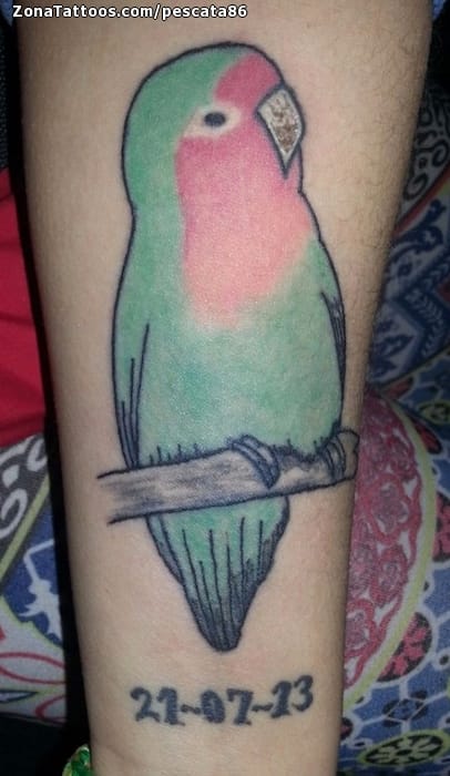 Tattoo photo Birds, Animals