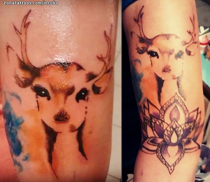 Tattoo photo Animals, Deers, Animals