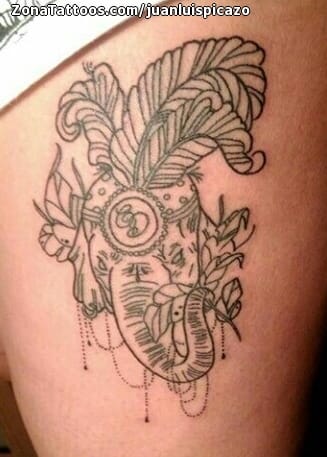 Tattoo photo Animals, Feathers, Elephants