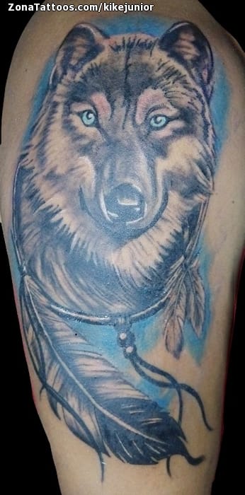 Tattoo photo Wolfs, Animals, Feathers