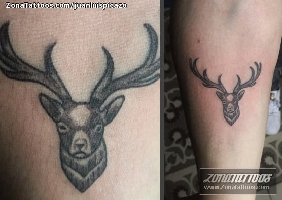 Foto de tatuaje Ciervos, Animales