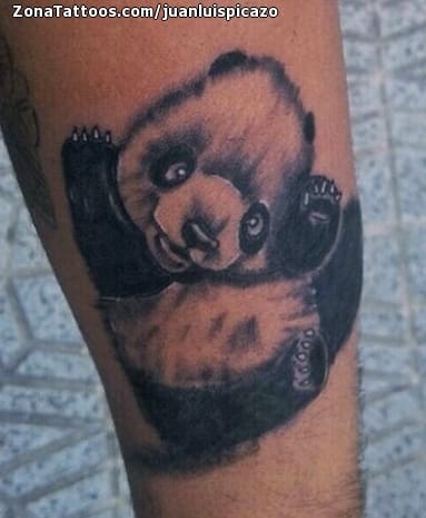 Foto de tatuaje Osos Panda, Animales