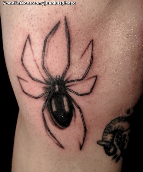 Foto de tatuaje Arañas, Insectos