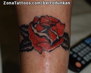 Tattoo photo Old School, Roses, Flowers