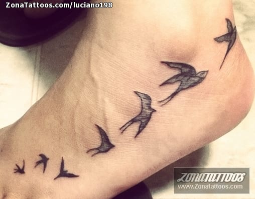 Foto de tatuaje Golondrinas, Aves, Animales