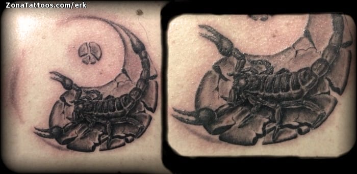 Tattoo photo Scorpions, Yin Yang, Cracks