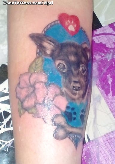 Tattoo photo Dogs, Animals