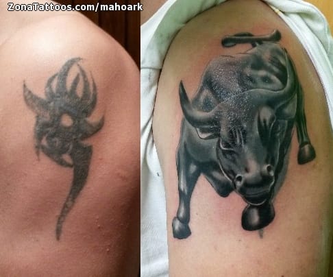 Tattoo photo Bulls, Animals, Cover Up