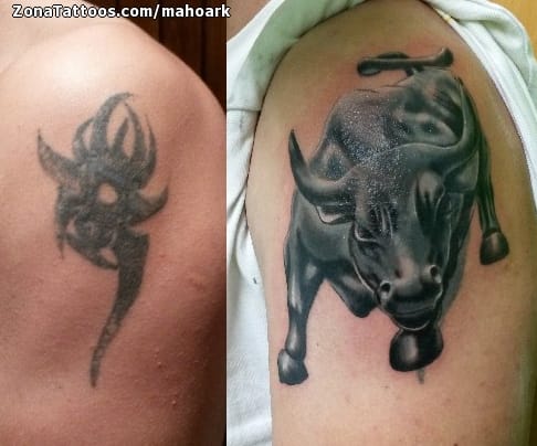 Foto de tatuaje Toros, Animales, Cover Up