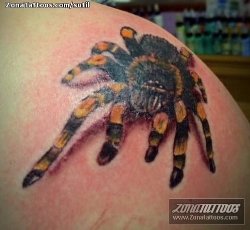 Tattoo photo Tarantulas, Animals