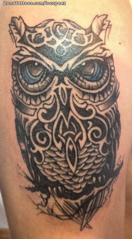 Tattoo photo Owls, Birds, Animals