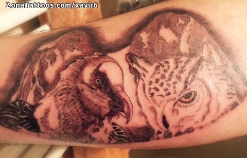 Foto de tatuaje Aves, Animales