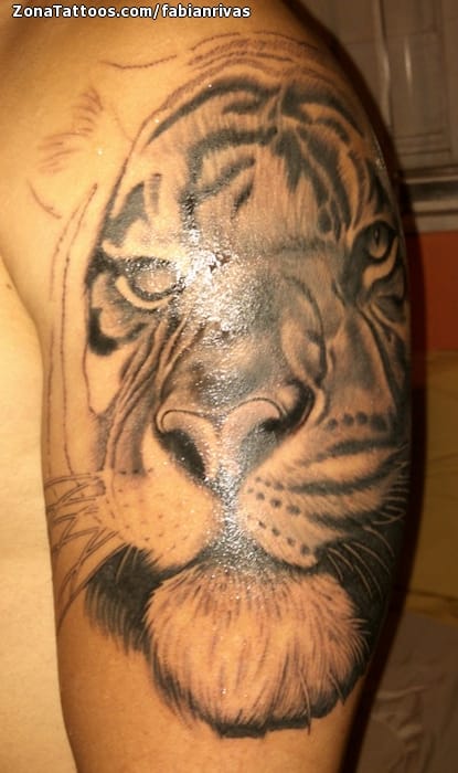 Tattoo photo Tigers, Animals