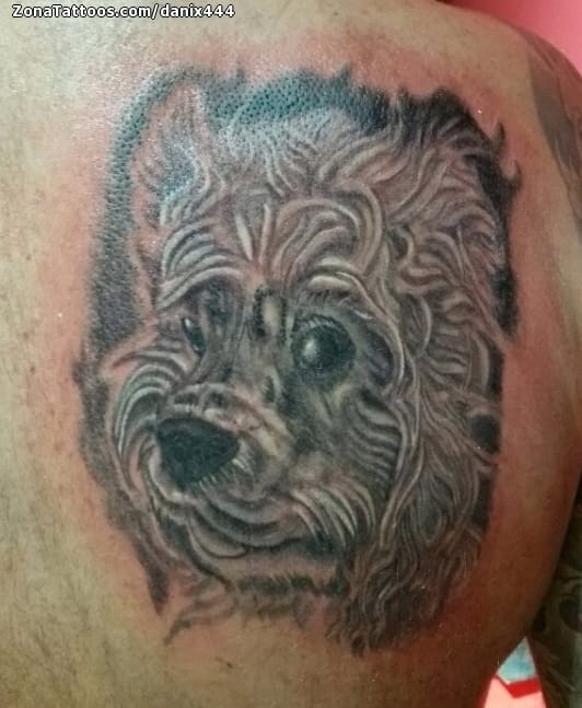 Foto de tatuaje Perros, Animales, Omóplato