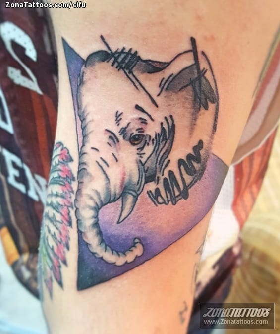 Tattoo photo Elephants, Animals