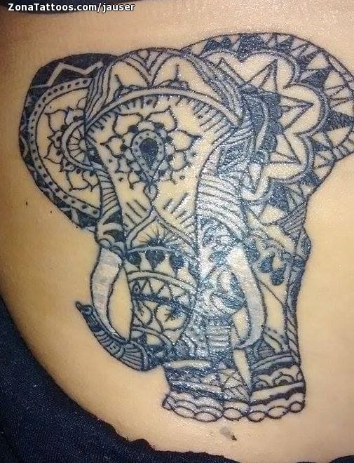 Tatuagem Elefante Maori | Arte Tattoo - Fotos de tatuagens | Elephant tattoo  design, Elephant tattoo, Elephant tattoos