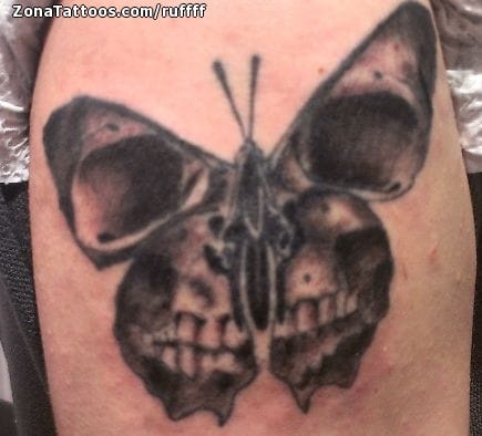 Tattoo photo Butterflies, Skulls, Insects