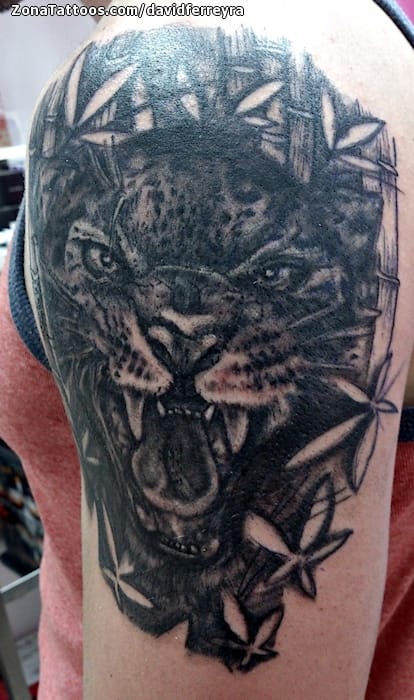 Foto de tatuaje Jaguares, Animales, Bambú