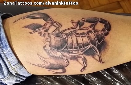 Tattoo photo Scorpions, Insects