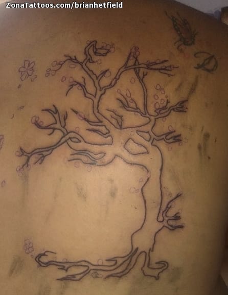 Tattoo photo Trees, Back