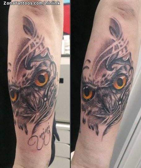 Foto de tatuaje Búhos, Aves, Animales