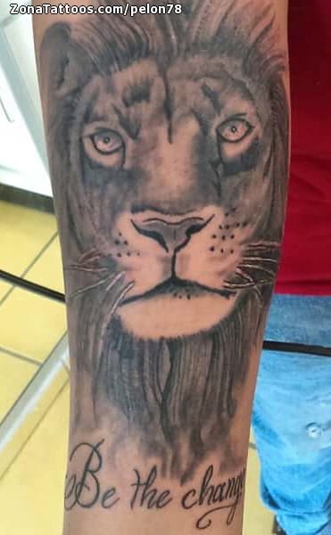 Foto de tatuaje Leones, Animales