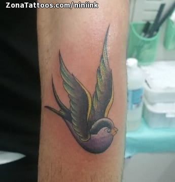 Foto de tatuaje Golondrinas, Aves, Animales